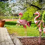 Ibis Styles