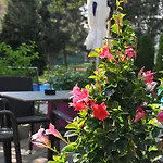 Ξενοδοχείο Ibis Styles