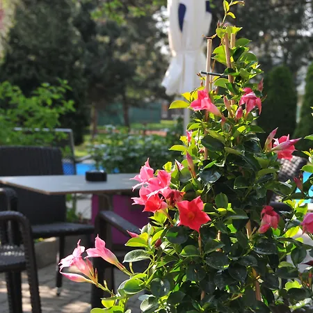 فندق إيبيس ستايلز لينز