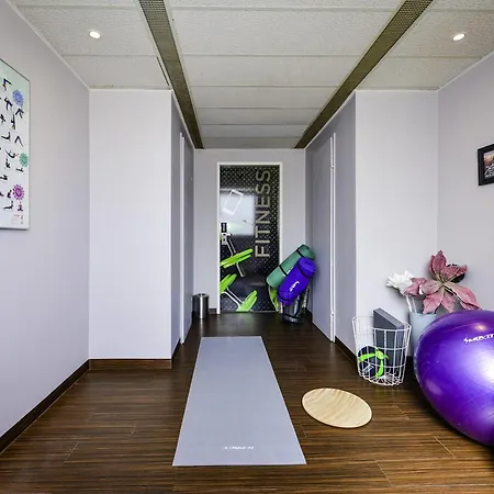 إيبيس ستايلز لينز فندق