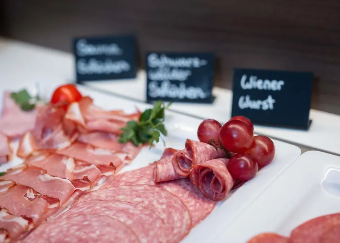 林茨宜必思尚品酒店 酒店