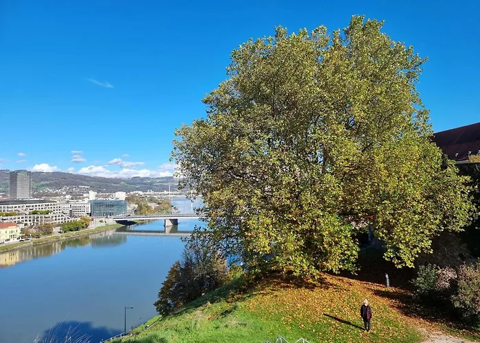 酒店 林茨宜必思尚品酒店