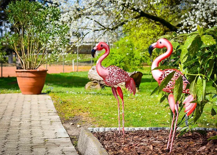 林茨宜必思尚品酒店