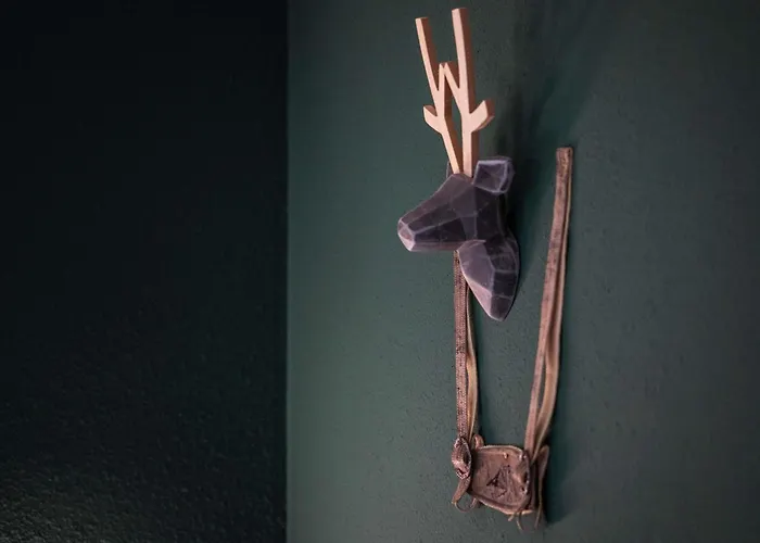 酒店 林茨宜必思尚品酒店 3*