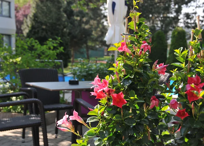 酒店 林茨宜必思尚品酒店