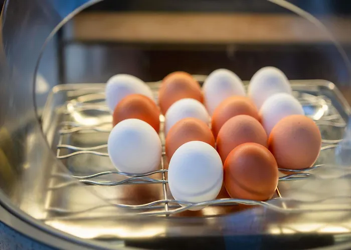 林茨宜必思尚品酒店