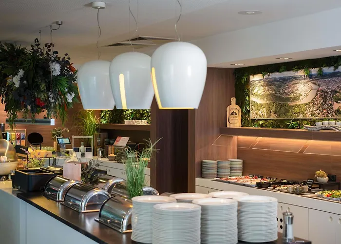 林茨宜必思尚品酒店